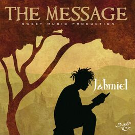 Album cover of The Message