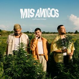 Album cover of Mis Amigos