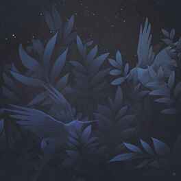 Album cover of Two Night Birds
