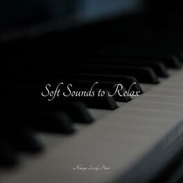 Album cover of Soft Sounds to Relax
