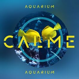 Album cover of Aquarium calme: Sons sous-marine pour relaxation, Étude, Dormir (Bruit blanc aquatique)