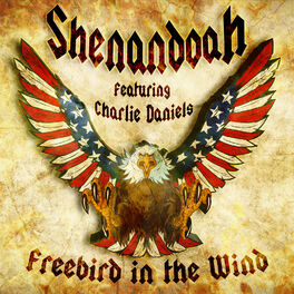 Album cover of Freebird in the Wind