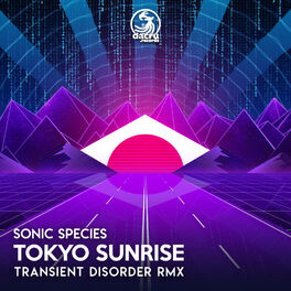 Album cover of Tokyo Sunrise (Transient Disorder Remix)
