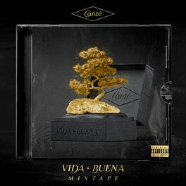 Album cover of Vida Buena (Mixtape)