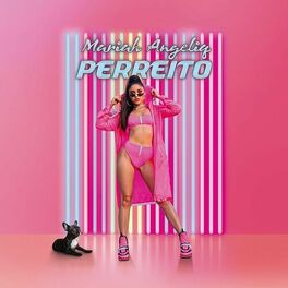 Album cover of Perreito