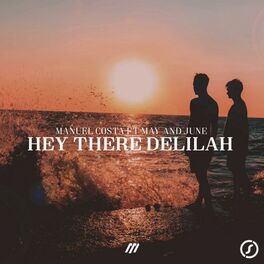 Album cover of Hey There Delilah