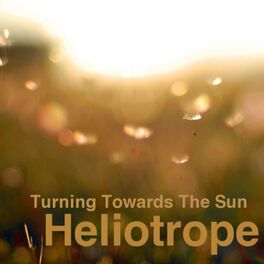Album cover of Turning Towards the Sun