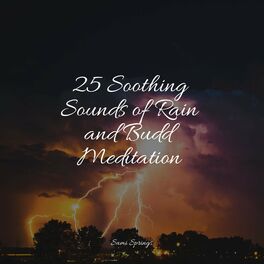 Album cover of 25 Soothing Sounds of Rain and Budd Meditation