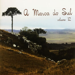 Album cover of A Marca do Sul, Vol. 12