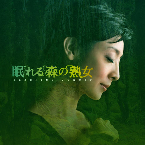 Yu Takami Nhk Yoru Dora Nemureru Mori No Jukujo Orijinaru Soundtrack Lyrics And Songs Deezer deezer