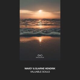 Album cover of Valuable Souls