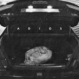 Album cover of Adios (feat. Kesi)