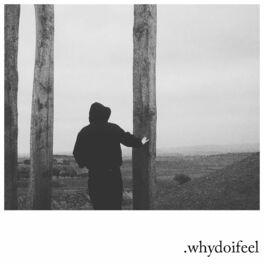 Album cover of Whydoifeel