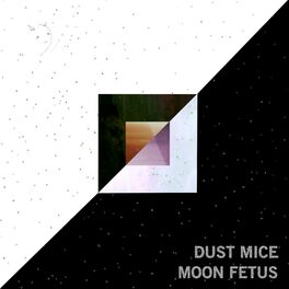Album cover of Moon Fetus EP