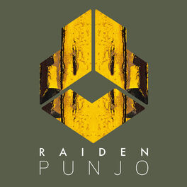 Album cover of Punjo