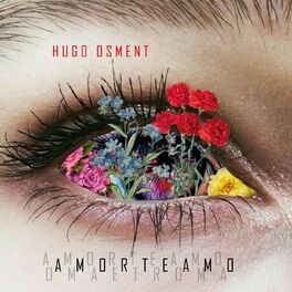 Album cover of Amorteamo