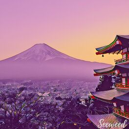 Album cover of Samurai Spirit