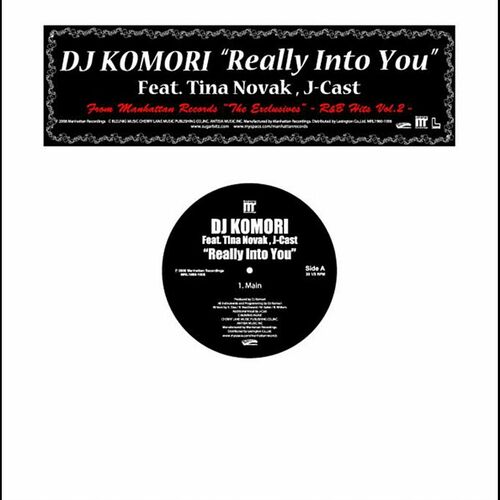 DJ Komori - Really Into You feat. Tina Novak & J-Cast: lyrics and