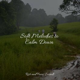 Album cover of Soft Melodies to Calm Down