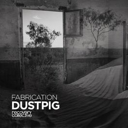 Album cover of Dustpig