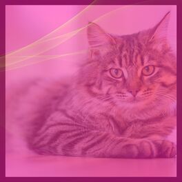 Album cover of Ambiance for Happy Cat