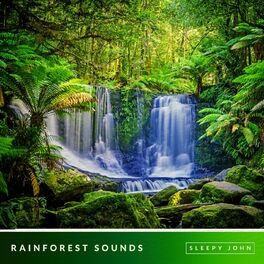 Album cover of Rainforest - Sleep & Nature Sounds