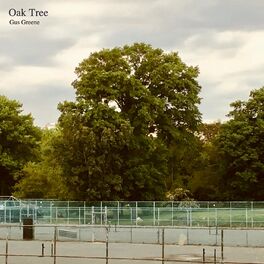 Album cover of Oak Tree