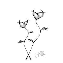 Album cover of Passionflower