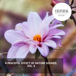 Album cover of A Peaceful Effect of Nature Sounds, Vol. 3