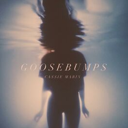 Album picture of Goosebumps