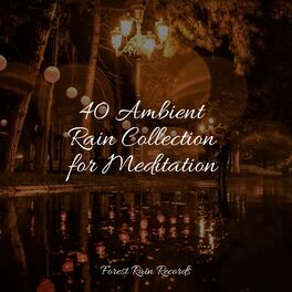 Album cover of 40 Ambient Rain Collection for Meditation