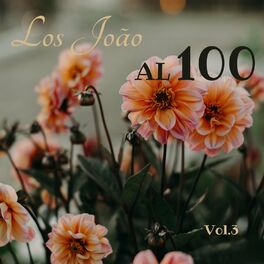 Album cover of Los Joao al 100, Vol. 3