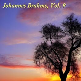 Album cover of Johannes Brahms, vol. 9