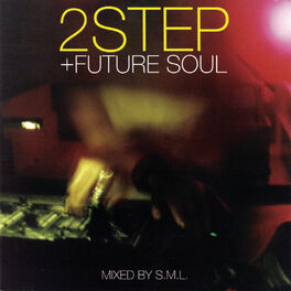 Album cover of 2step + Future Soul (Continuous DJ Mix by DJ S.M.L.)