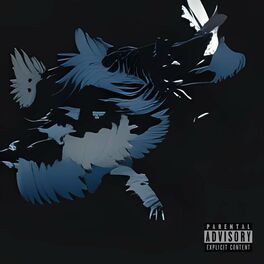 Album cover of Black Crows