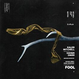 Album cover of FOOL