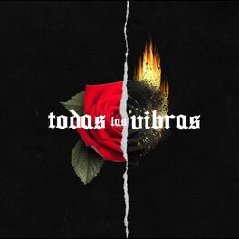 Album cover of Todas Las Vibras