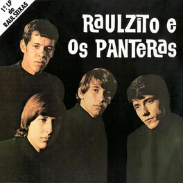 Album cover of Raulzito E Os Panteras