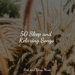 Album cover of 50 Sleep and Relaxing Songs