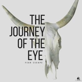 Album cover of The Journey of the Eye