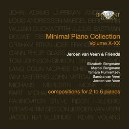 Album cover of Minimal Piano Collection, Vol. X-XX