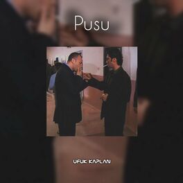 Album cover of Pusu