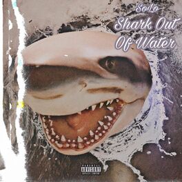 Album cover of Shark Out Of Water