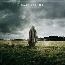 Album cover of Bass Dreams, Vol. 3