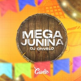 Album cover of MEGA JUNINA DE BH