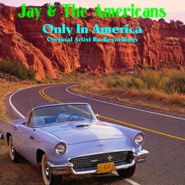 Album cover of Only in America