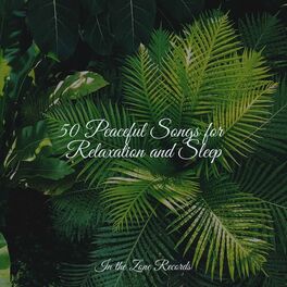 Album cover of 50 Peaceful Songs for Relaxation and Sleep
