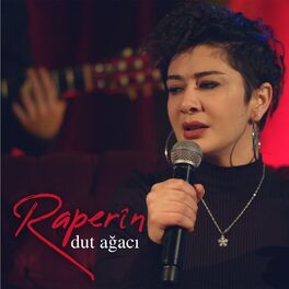 Album cover of Dut Ağacı