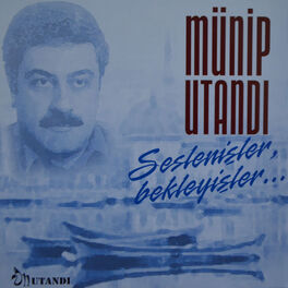 Album cover of Seslenişler Bekleyişler