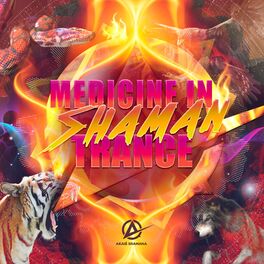 Album cover of Medicine in Shaman Trance
